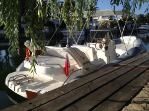 Mojo in Empuriabrava